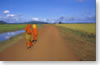 road near Attapeu (Attapeu province)