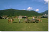 province de Phong Sally