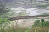 rizières, province de Houapanh