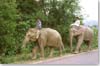 Transport lao