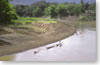 jardins sur les berges de la Nam Khan, près de Luang Prabang