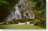  Kuang Si water fall in Luang Prabang