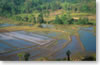 Boli Khamsay province