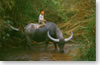 Transport lao