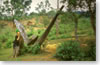 Sua Hin "standing stones"(Houapanh province)