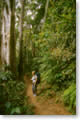 Trekking in  South  Laos (Attapeu province)