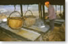 Rock salt harvest in the vicinity of Vientiane