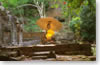 Bouddha on the Wat Phu site (Champassak province)